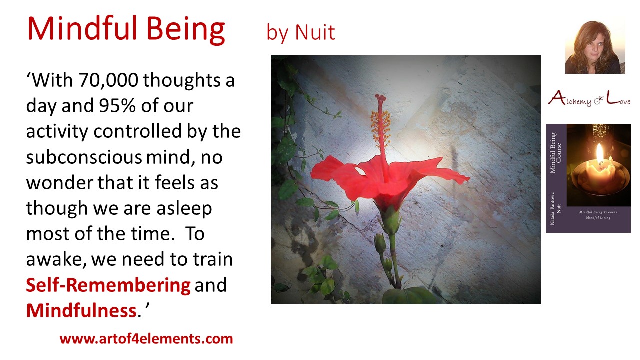 How to meditate quote from Mindful Being by Nuit