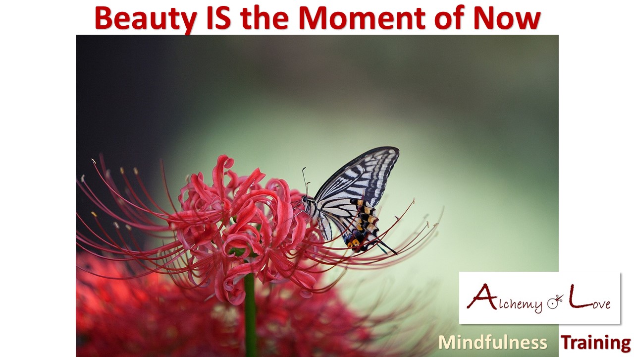 Living in the Present Moment and Beauty Alchemy of love mindfulness training by Nuit life quote
