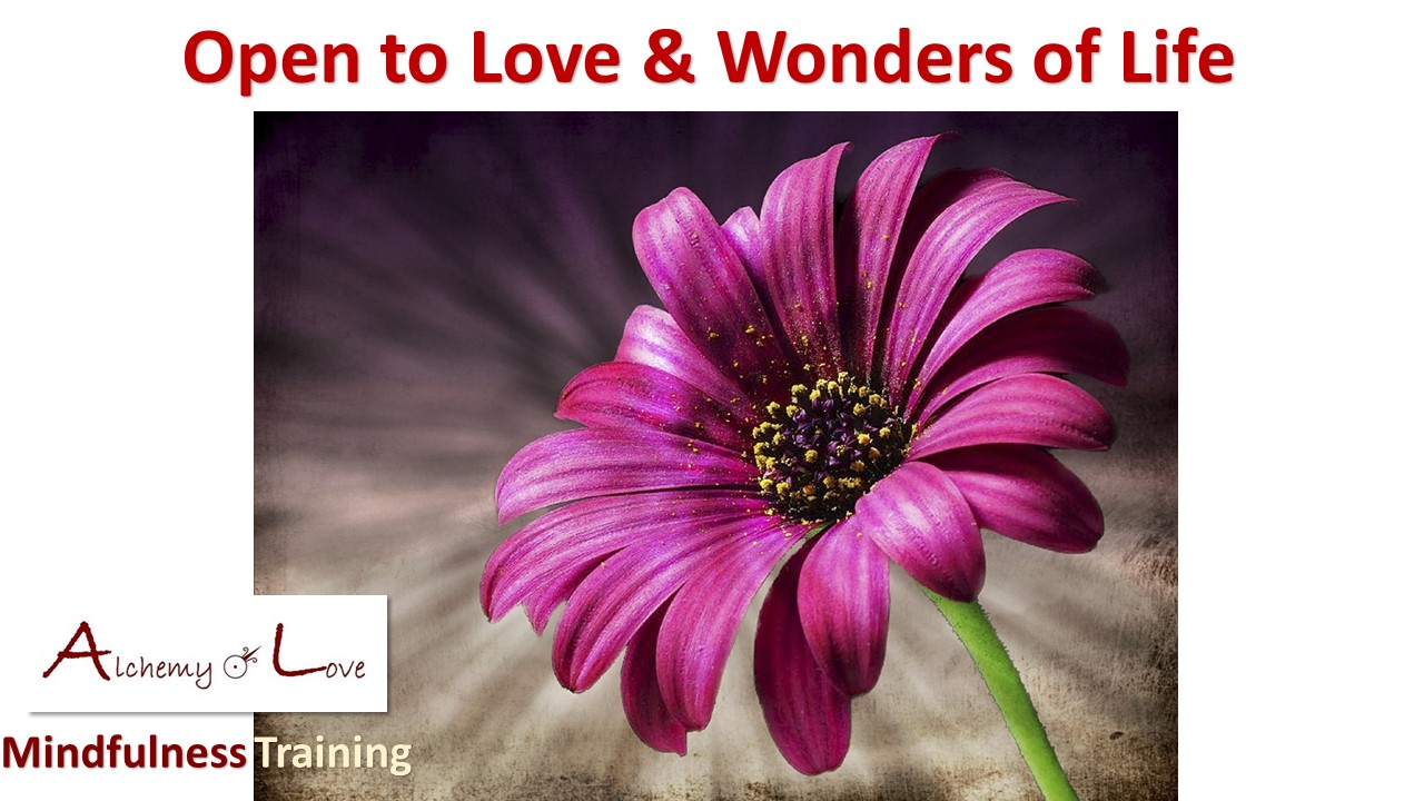 Guided love meditation: Open to love and wonders of life