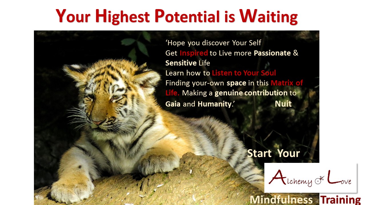 self development blessing your highest potential is waiting AoL mindfulness Quote by Natasa Pantovic