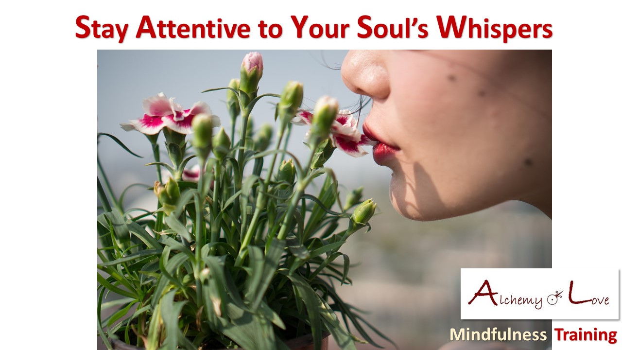 self development and soul whisper from Mindful Being: Alchemy of love mindfulness training book