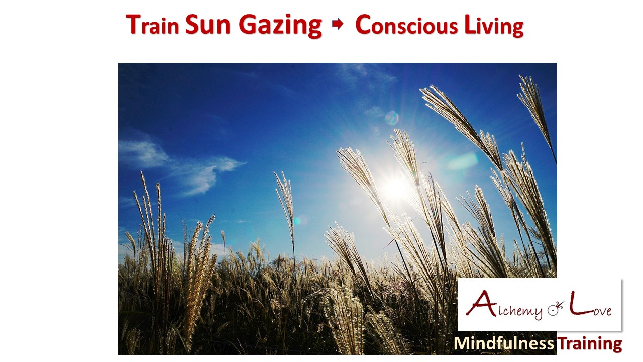 spiritual symbolism of light sun gazing sunset field