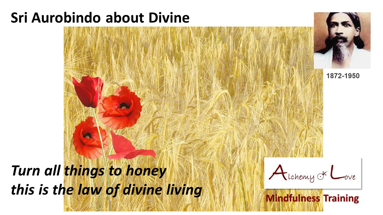 sri-aurobindo-divine-living-spiritual-quote-about-honey