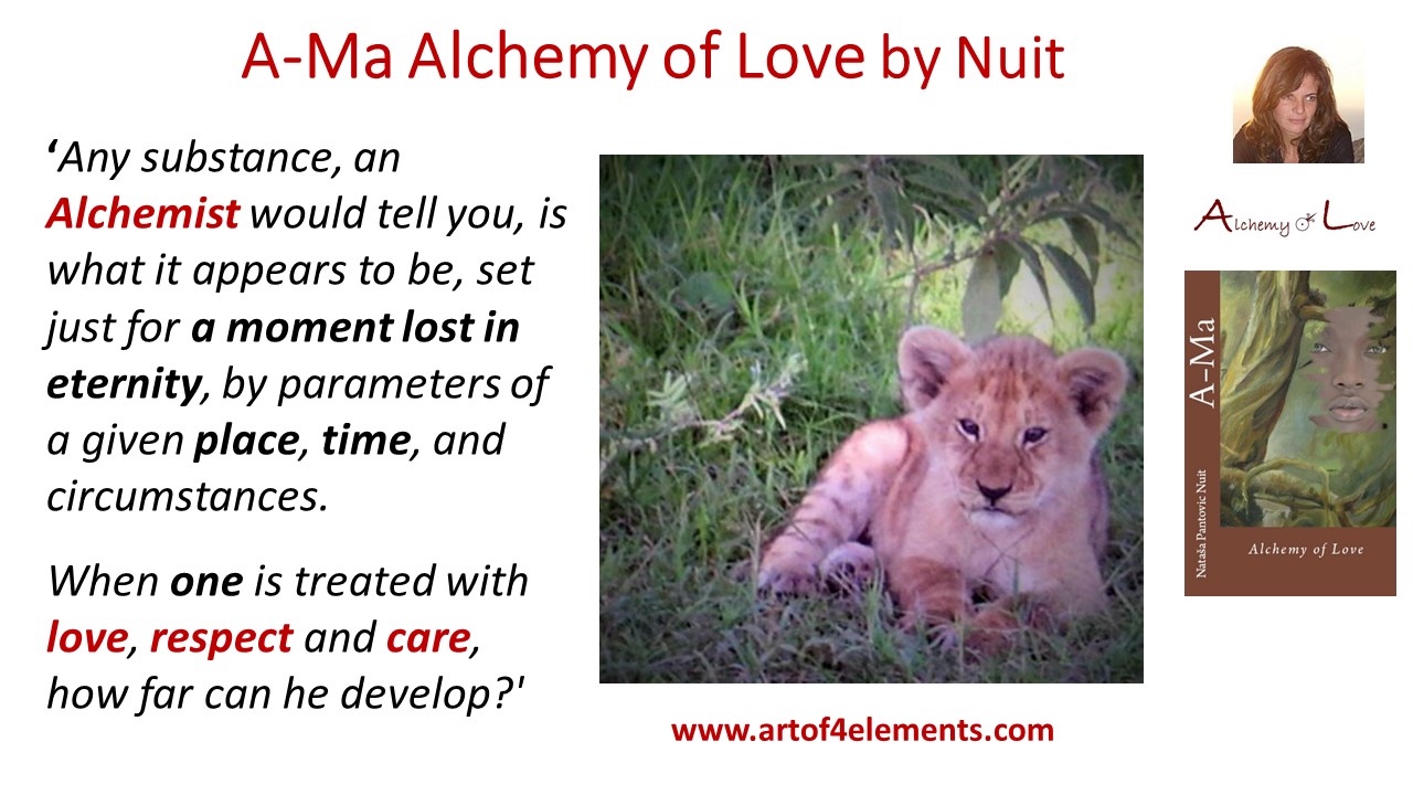Applying Wisdom Supported Pure Logic within Chaos ama alchemy evolution quote from Ama Alchemy of Love by Nataša Pantović Nuit