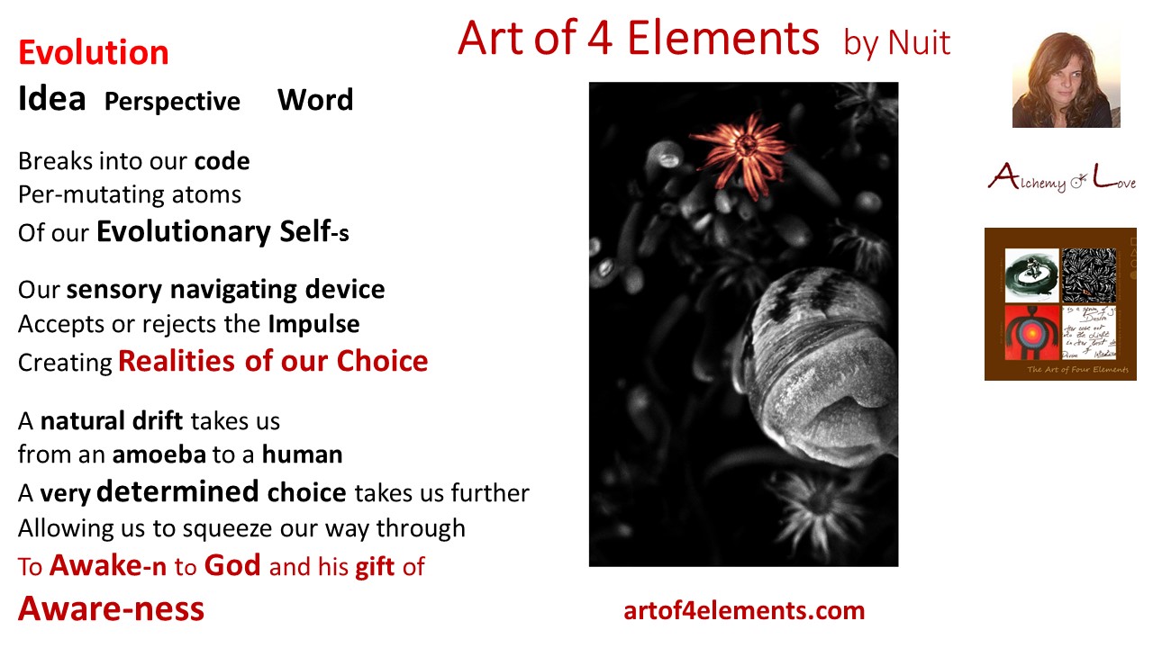 Evolution Art of 4 Elements spiritual poems by Natasa Pantovic