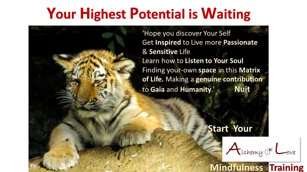 your-highest-potential-is-waiting_blessing poem by Natasa Pantovic