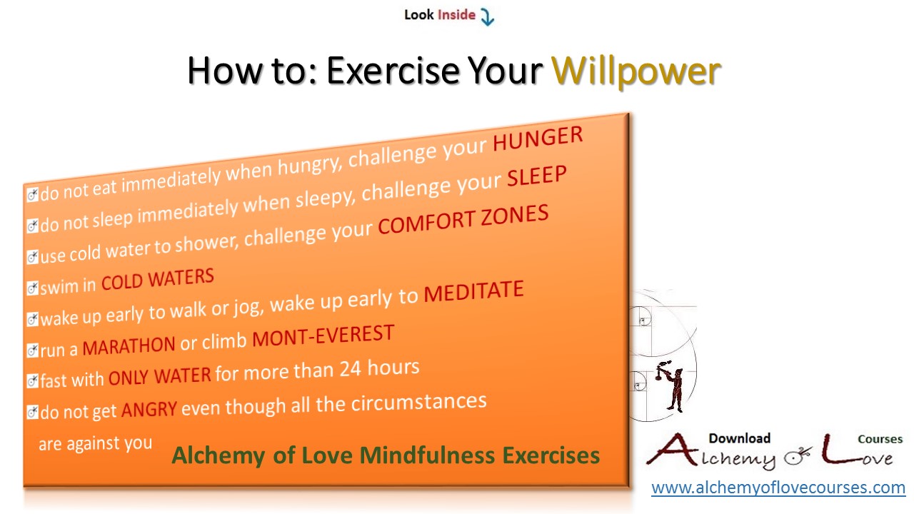 alchemy of love mindfulness training willpower exercises