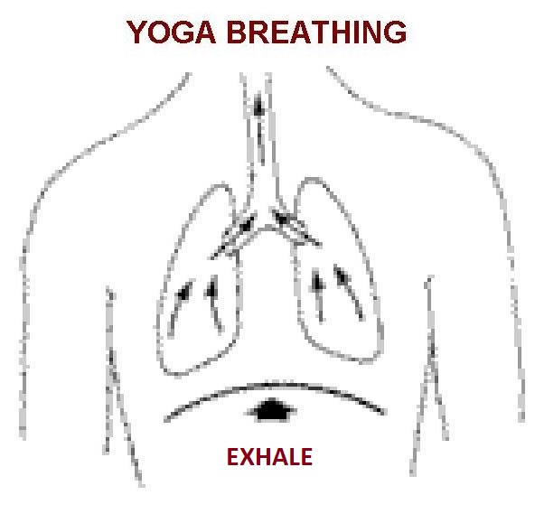 meditation techniques, Deep Breathing Exercises, yoga breathing, Diaphragmatic breathing, Abdominal Breathing, Belly Breathing Inhale