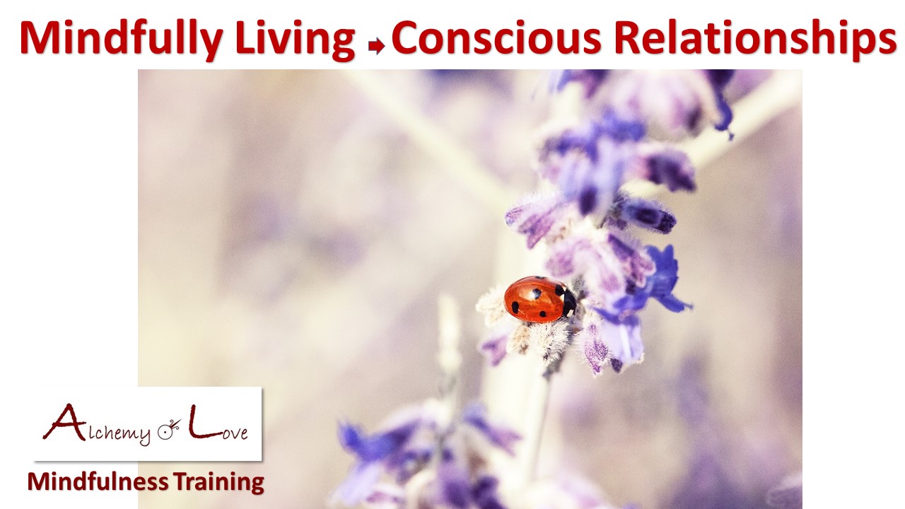 Conscious Relationships Practice Conscious Parenting