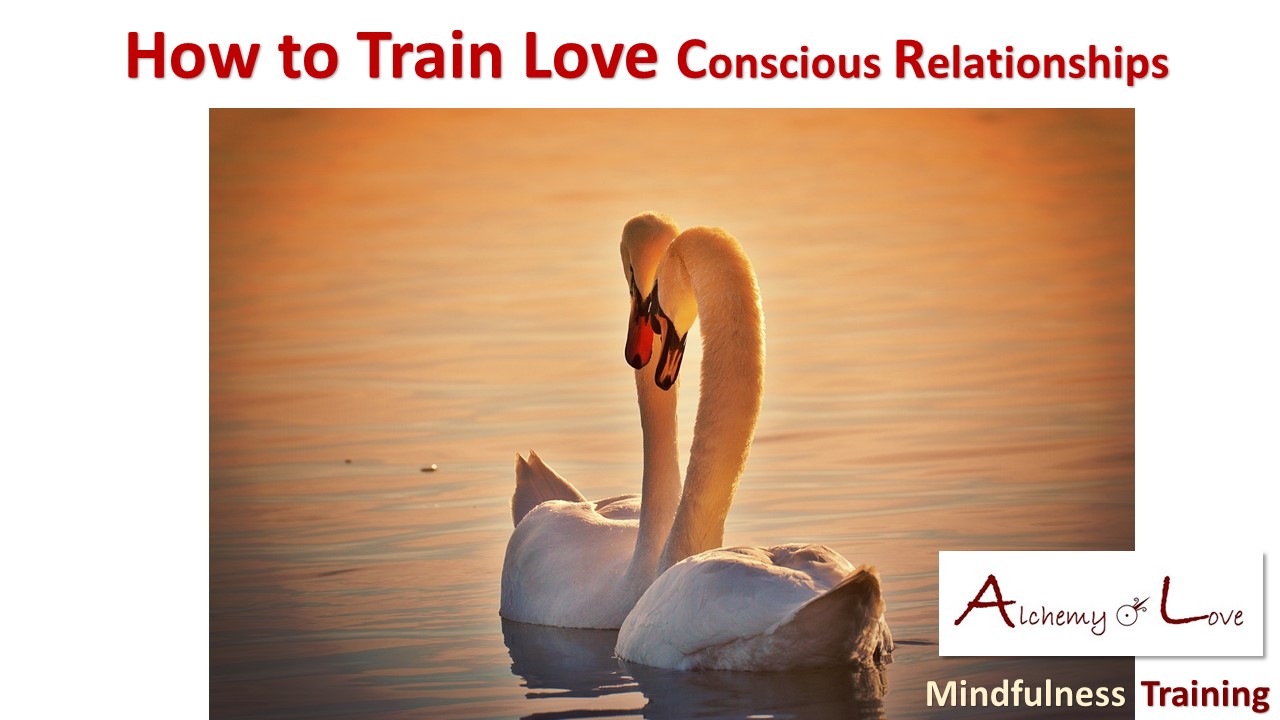 Conscious Relationships How to Train Love Mindfulness Training Alchemy of Love