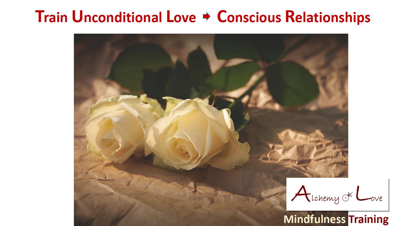mindfulness gift: train unconditional love