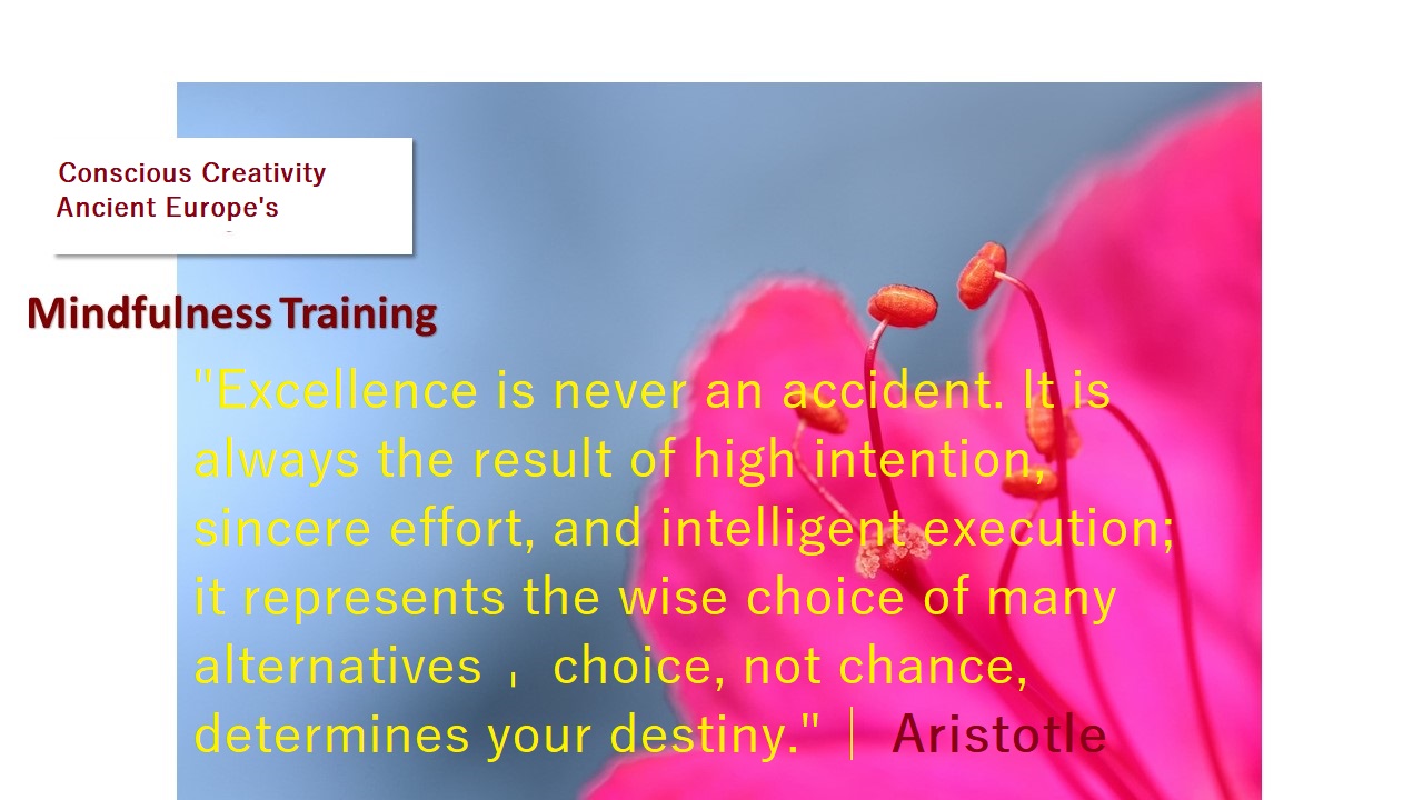 Excellence is never an accident It is always the result of high intention, sincere effort, and intelligent execution; it represents the wise choice Aristotle